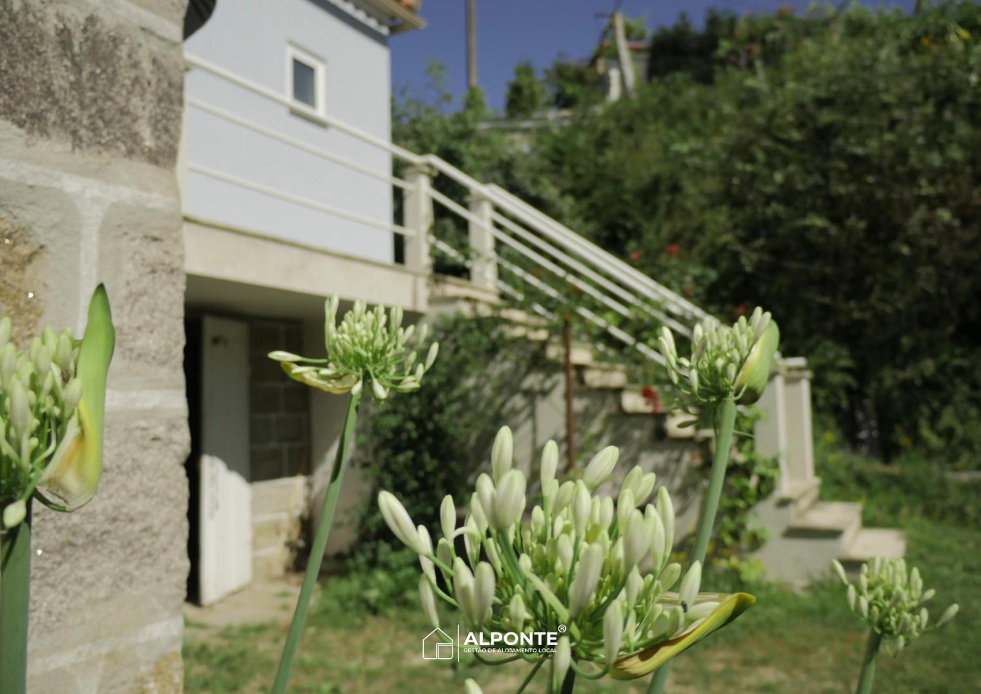 Quinta Da Costeira - Casa Azul Do Limoal By Alponte Villa Arcos de Valdevez Luaran gambar