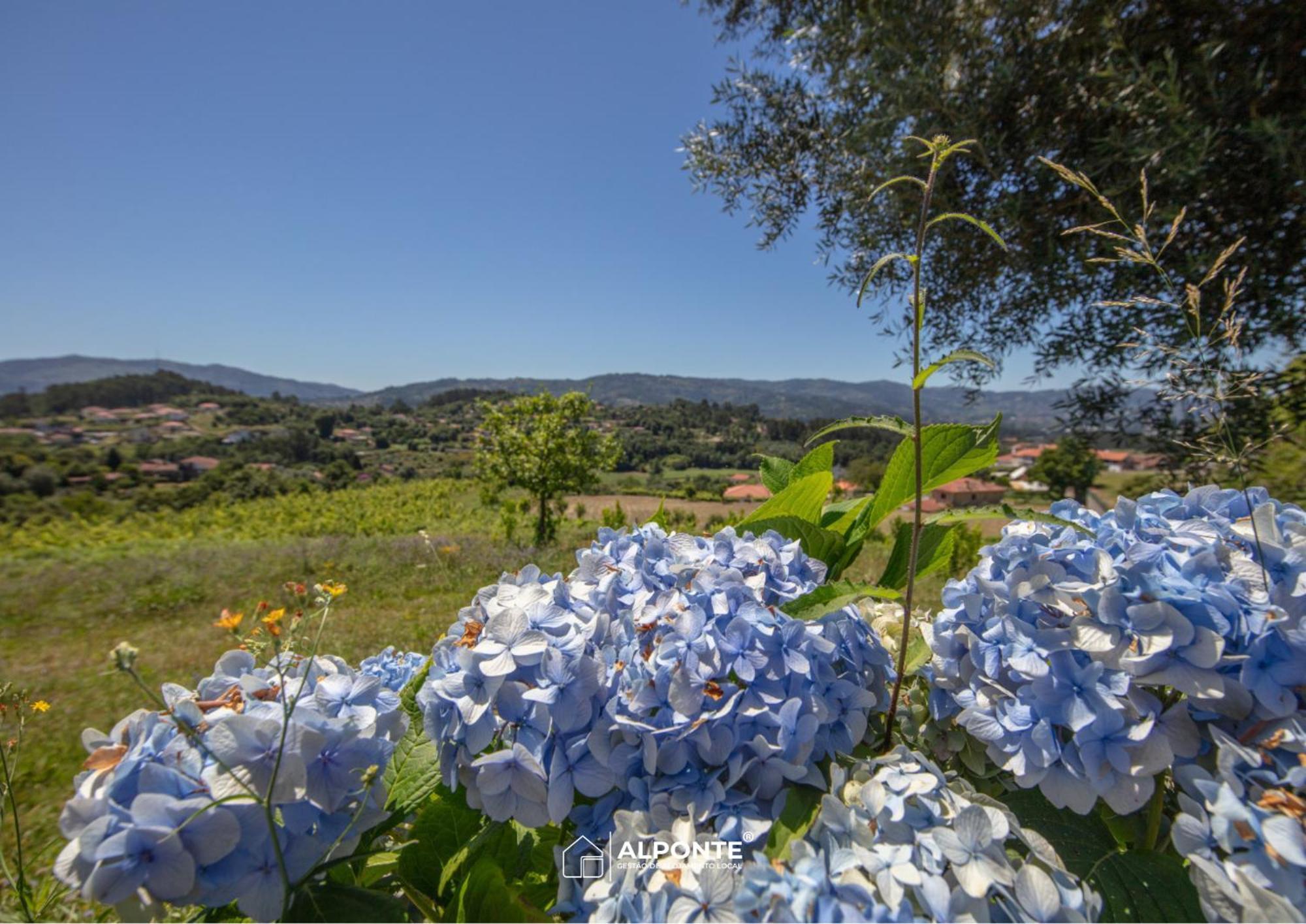 Quinta Da Costeira - Casa Azul Do Limoal By Alponte Villa Arcos de Valdevez Luaran gambar