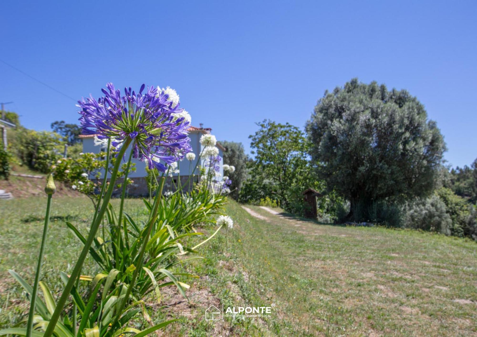 Quinta Da Costeira - Casa Azul Do Limoal By Alponte Villa Arcos de Valdevez Luaran gambar