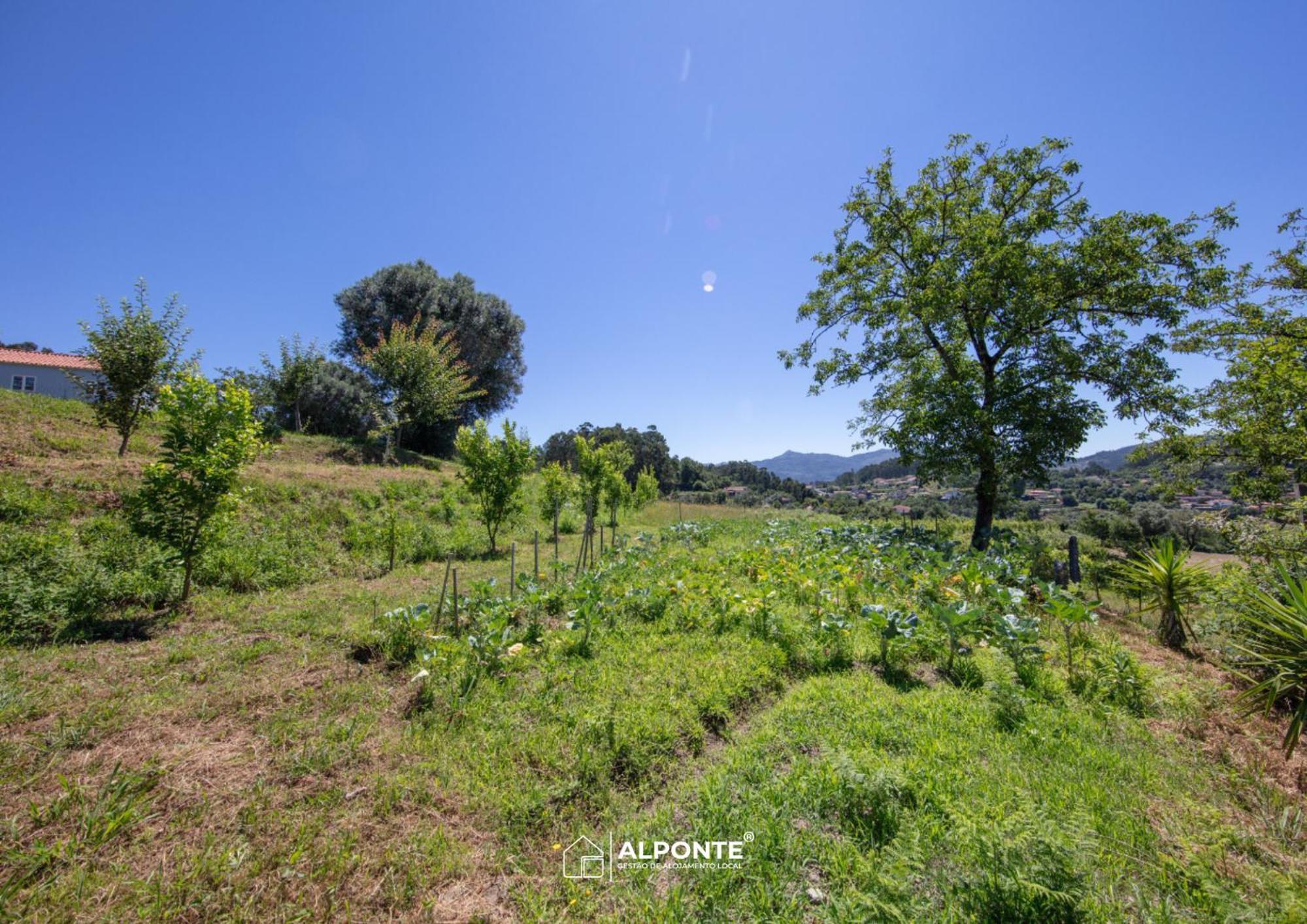 Quinta Da Costeira - Casa Azul Do Limoal By Alponte Villa Arcos de Valdevez Luaran gambar