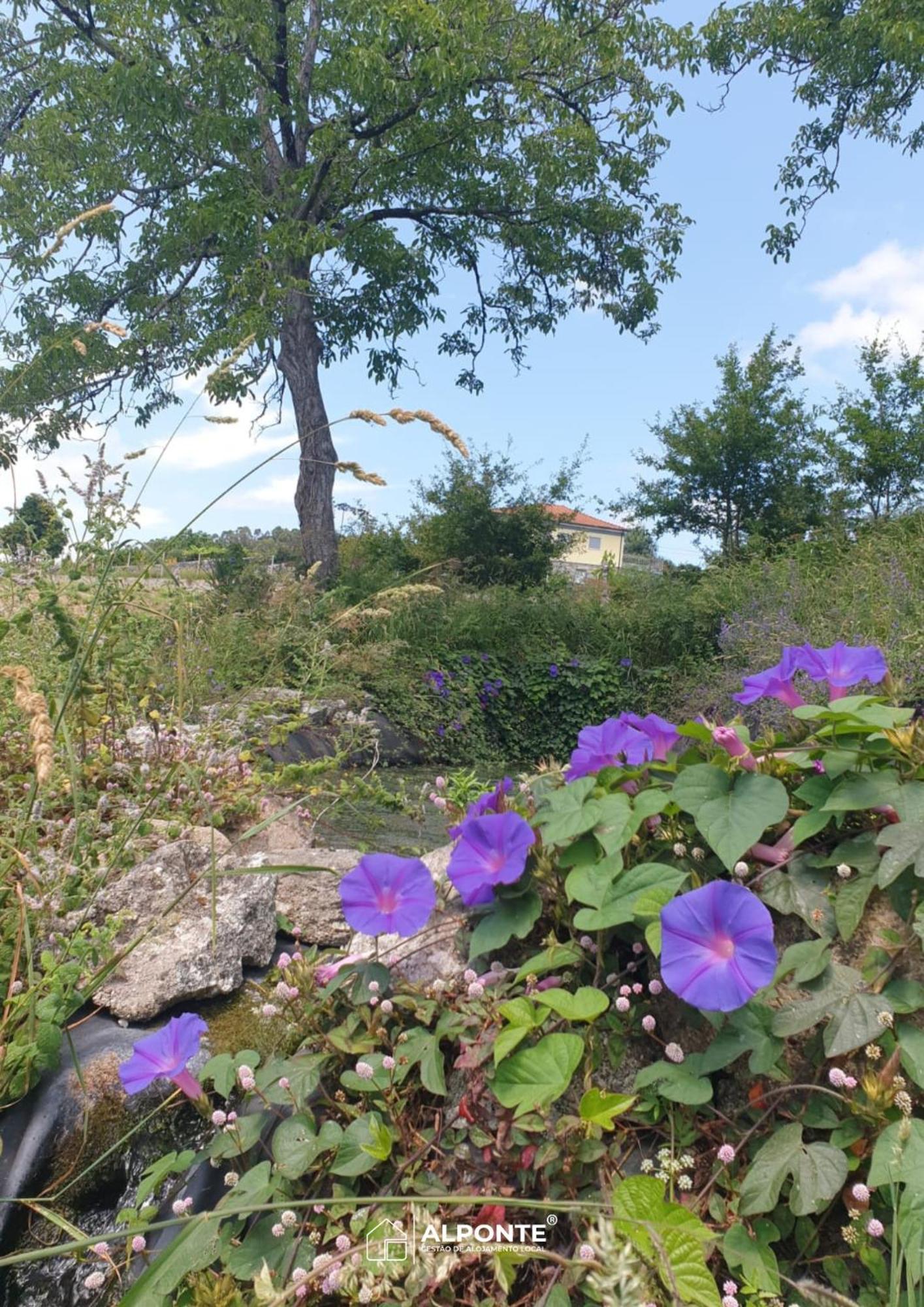 Quinta Da Costeira - Casa Azul Do Limoal By Alponte Villa Arcos de Valdevez Luaran gambar